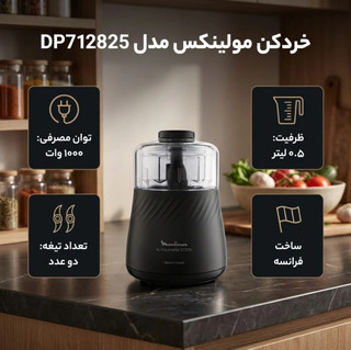 خردکن مولینکس مدل DP712825